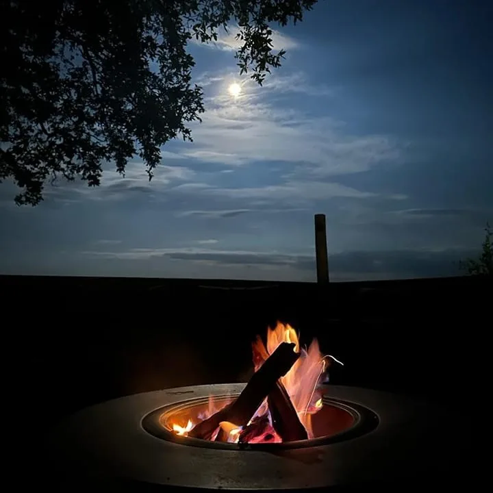 A campfire glowing in a fire pit at night, a tree silhouetted against a full moon lighting up the cloudy sky