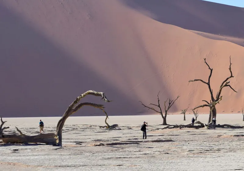 Two walkers amongst ancient dead camel thorn trees on the Deadvlei salt pan, Namibia