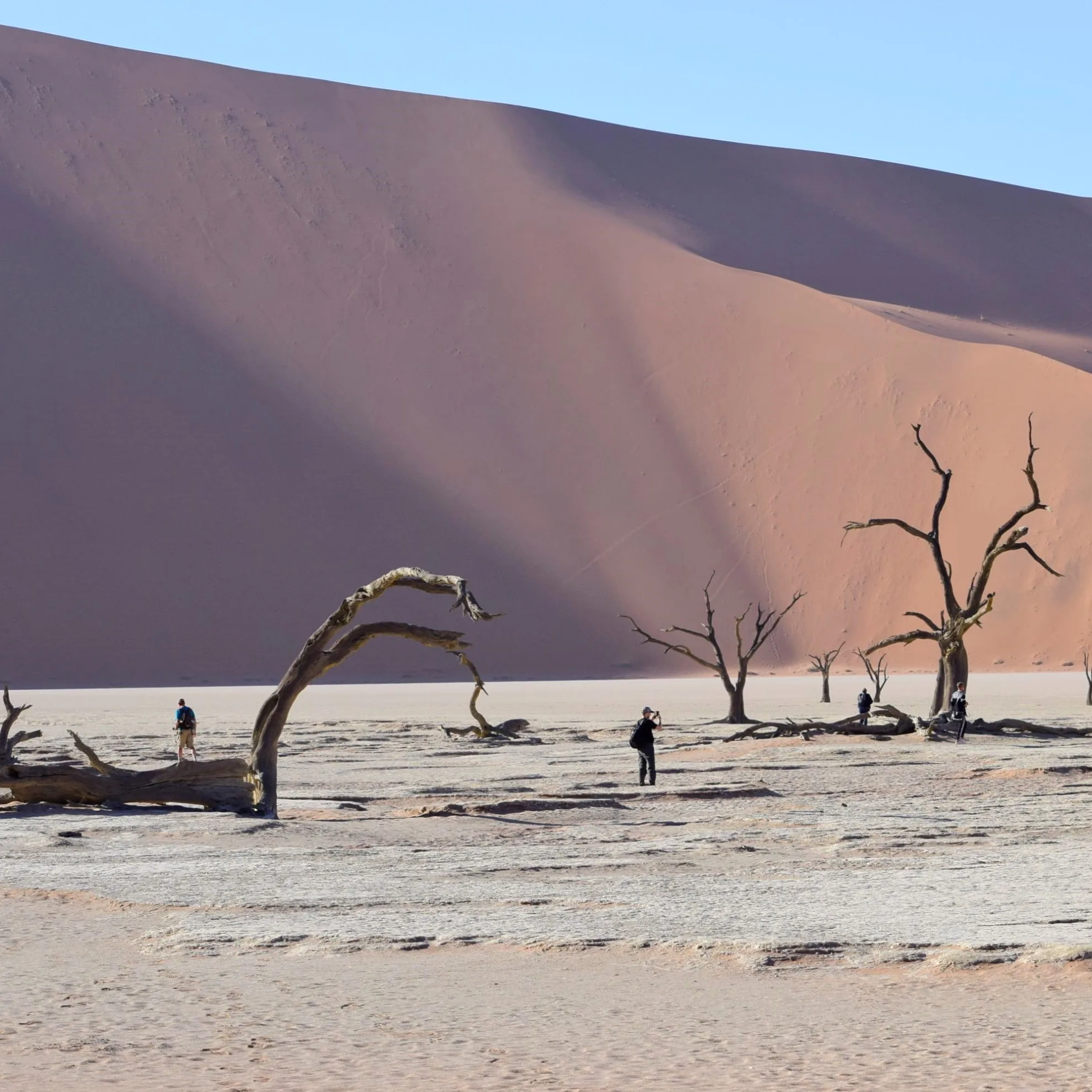 Visitors walking across the cracked white clay pan at Deadvlei among silhouetted dead trees