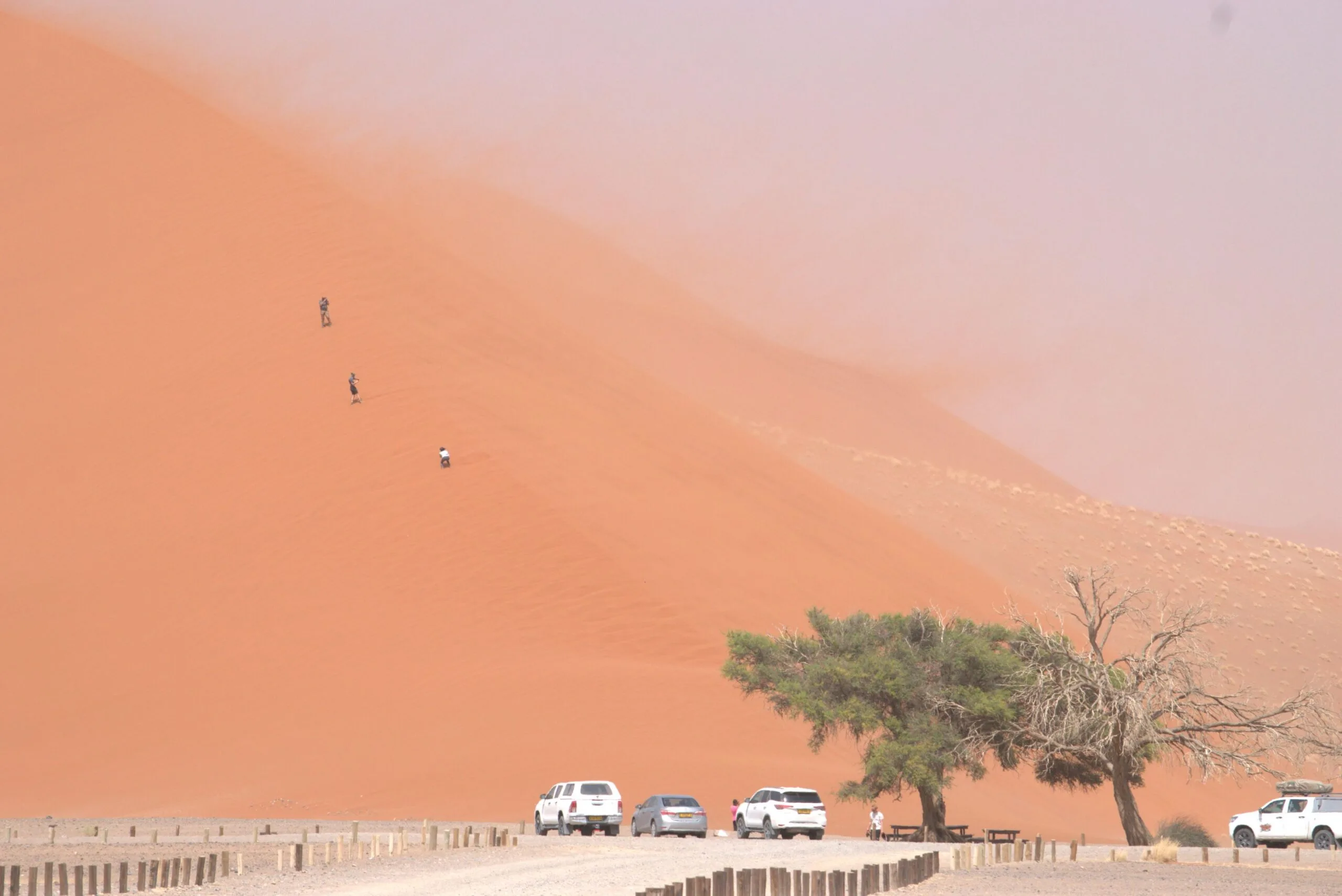 Tourists climbing the steep windward face of Dune 7, leaving deep footprints in the orange sand