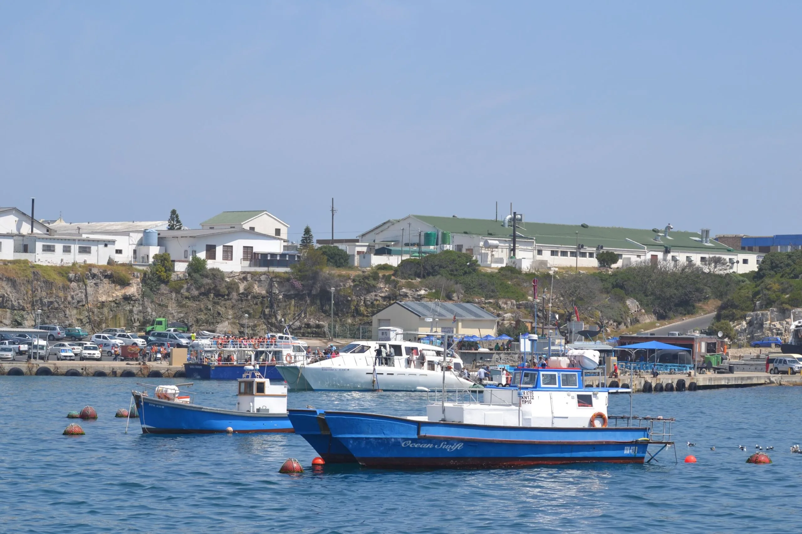 Fishing and recreational boats moored at the old harbour in Hermanus, Western Cape — a coastal town in South Africa's Western Cape renowned for whale watching