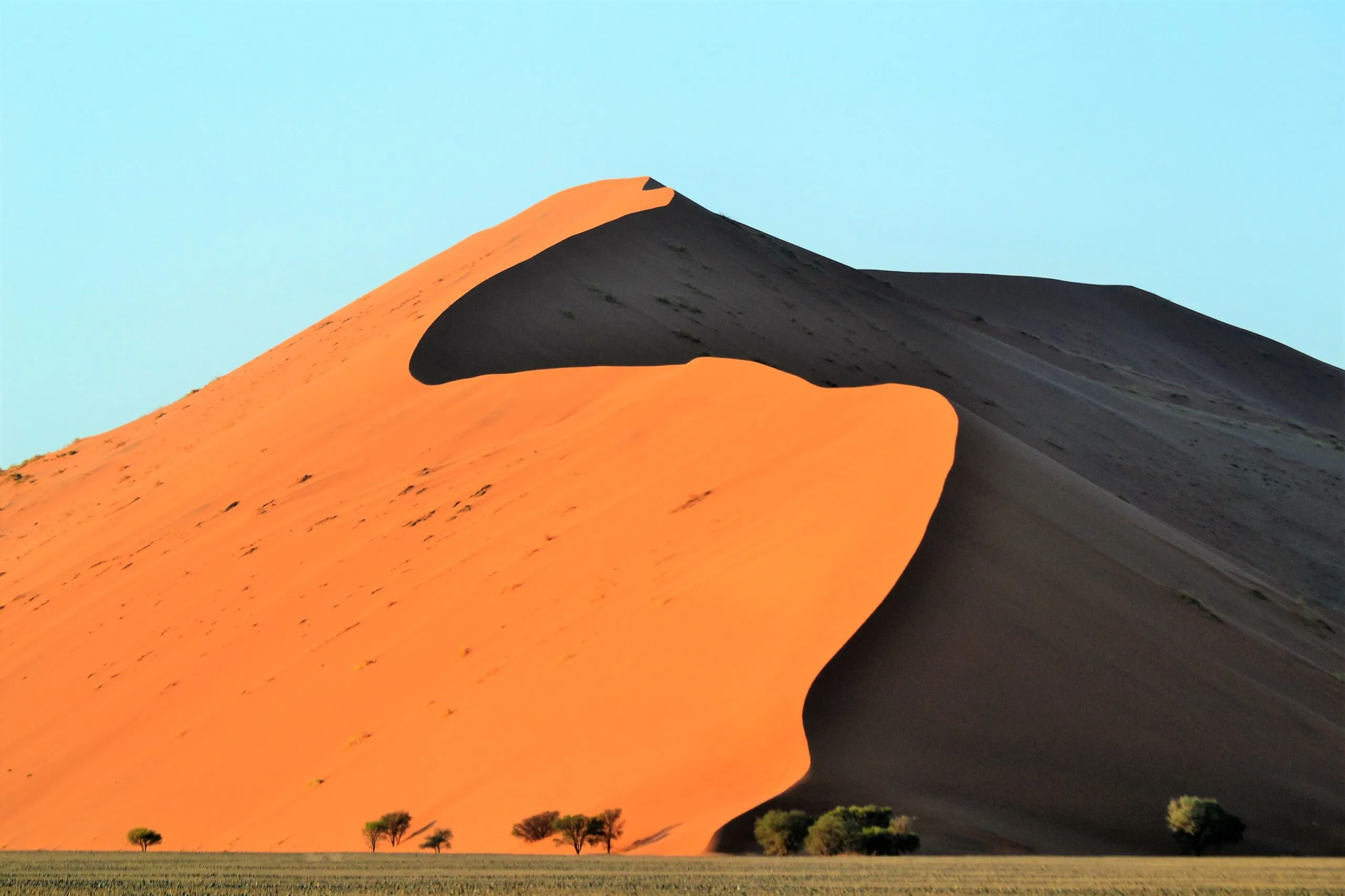 Sunlight catching the left flank of a Namib dune while the right falls into shadow, with blue sky above and sparse trees on the flat ground below