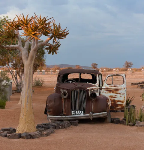 A rusted vintage car beside a baobab tree — an ornamental artwork installation at Solitaire, Namibia