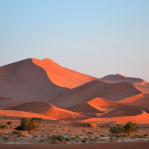 Sossusvlei Dunes Safari